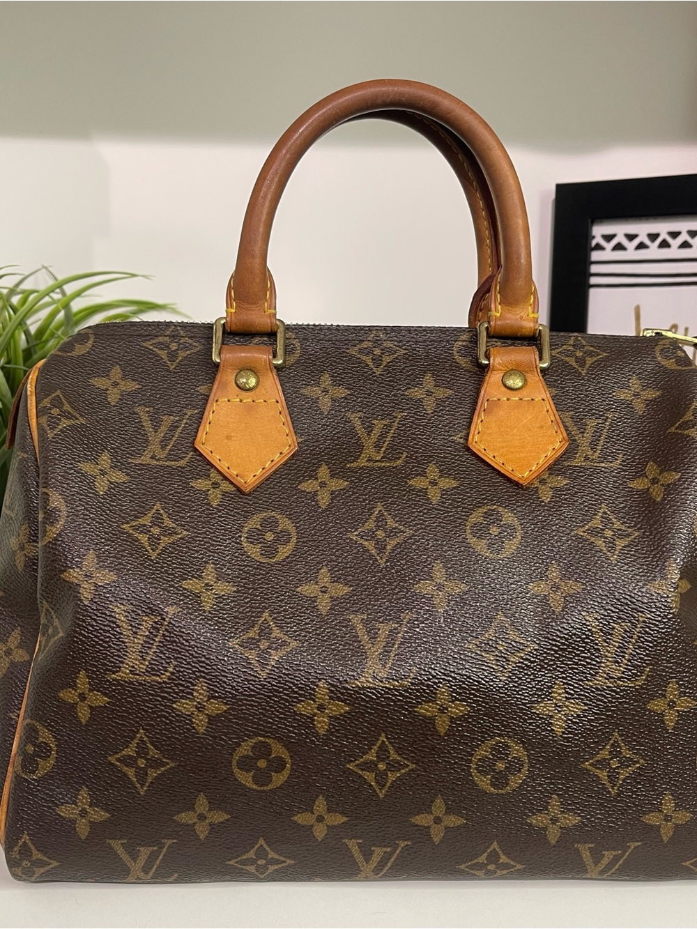 Louis Vuitton Monogram Speedy 25